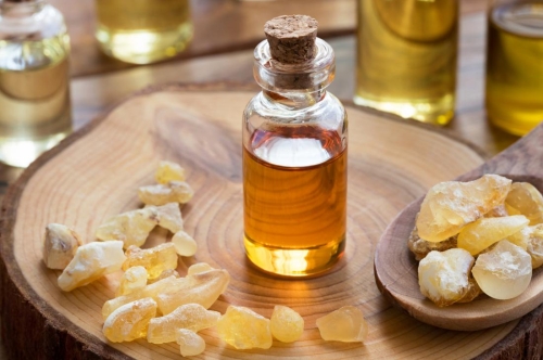 Essence of Organic Frankincense Oil: A Boost for Aromatherapy Industry 