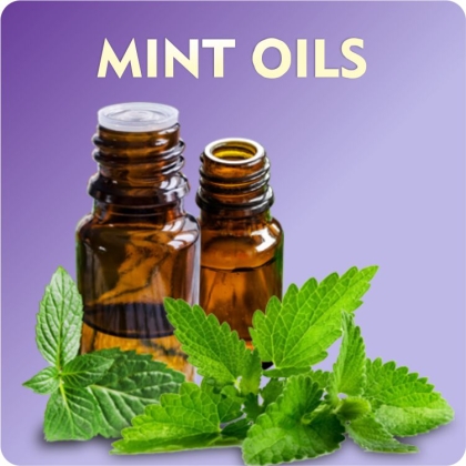 Mint Oils