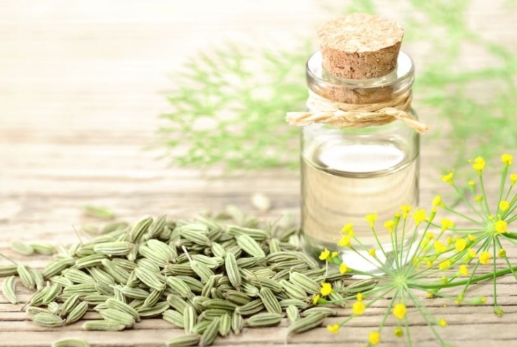 Fennel Seed Oil AAC