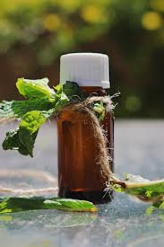 Matol Liquid Liquid Menthol - AAC
