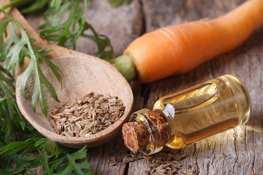 Carrot seed oil