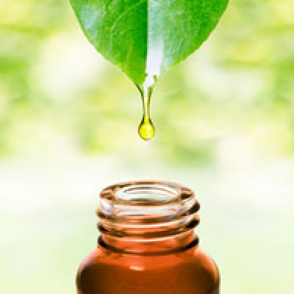Clove Leaf Oil
