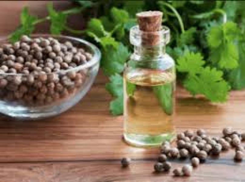 Coriander Seed OIl