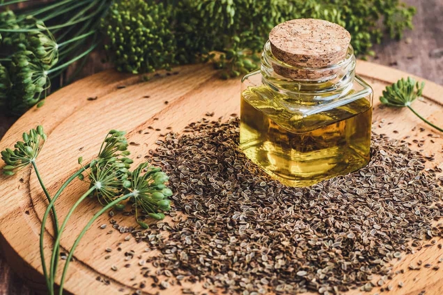 Dill Seed Oil