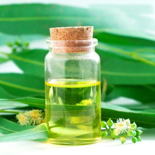 Eucalyptus Oil (citriodora)