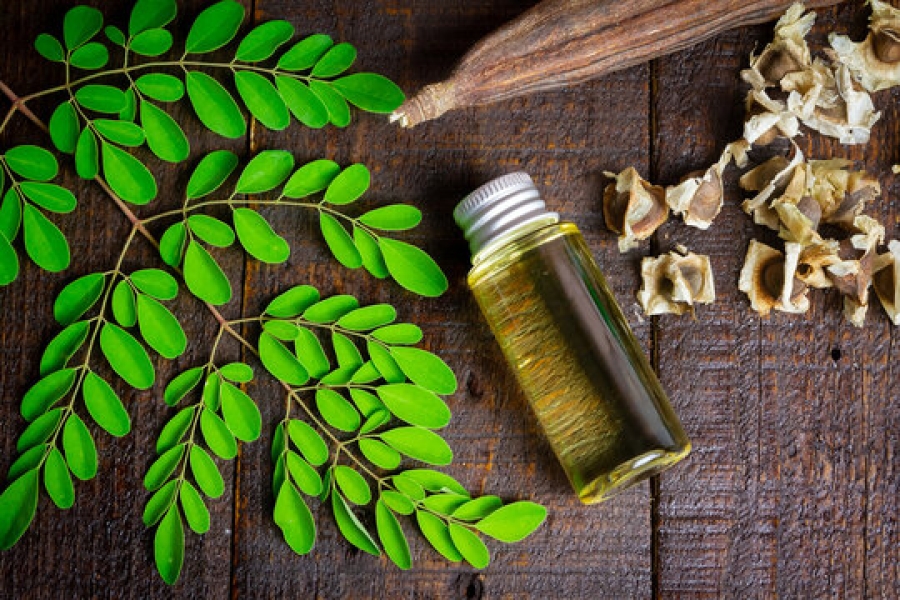 Moringa oil