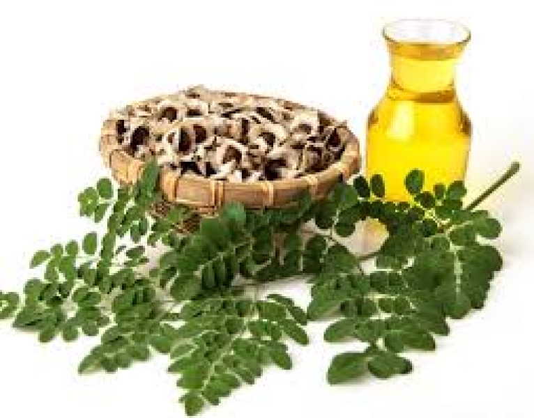 Moringa oil