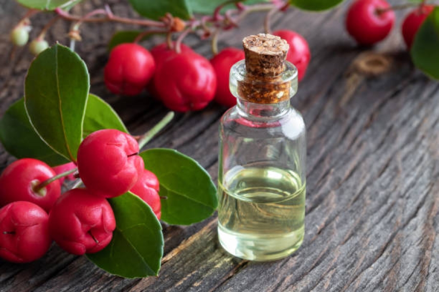 Wintergreen Oil