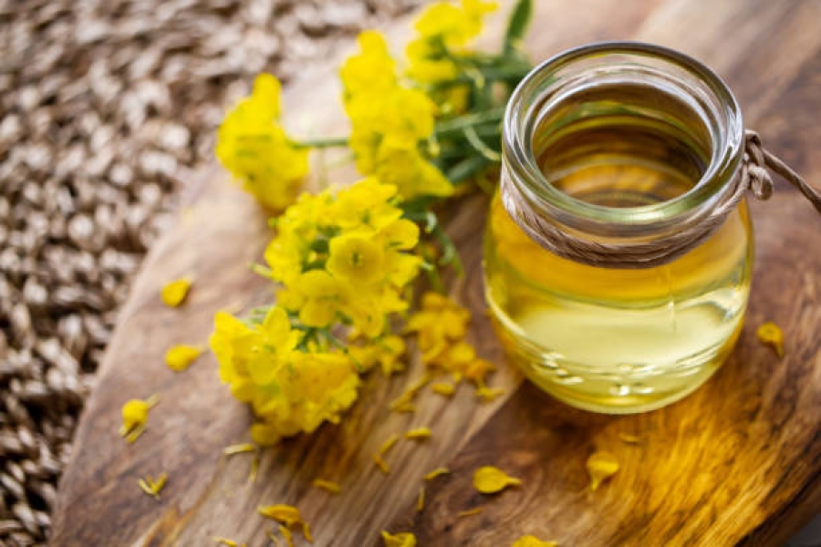 Rapeseed oil