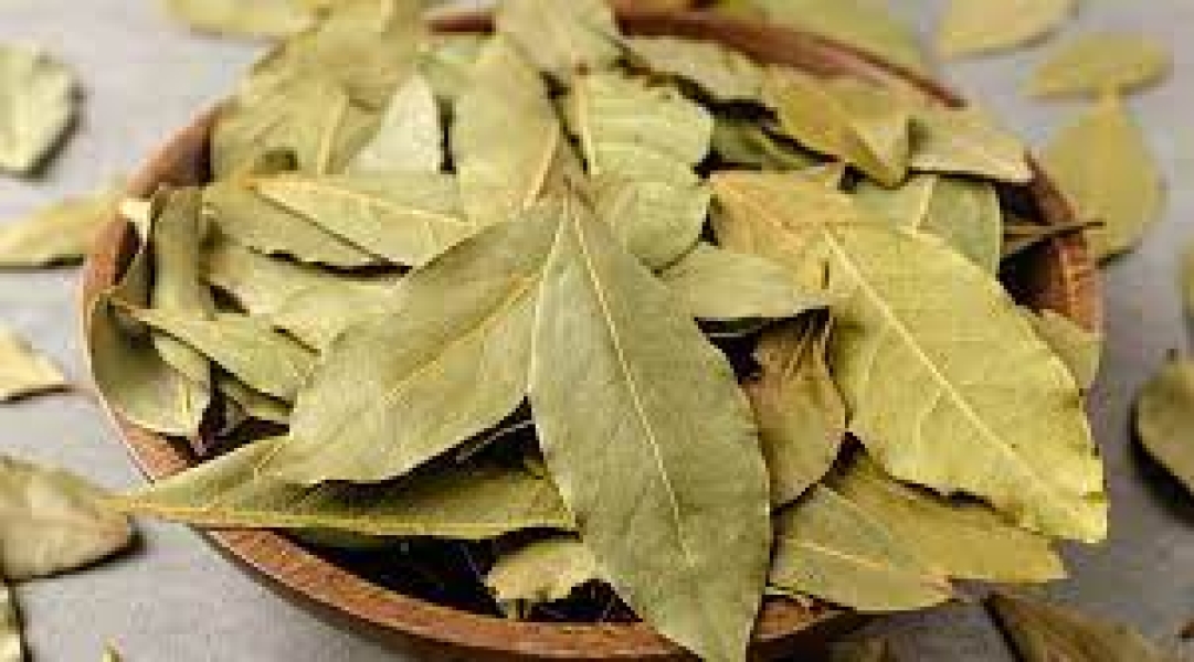 Bay Leaf Oleoresin