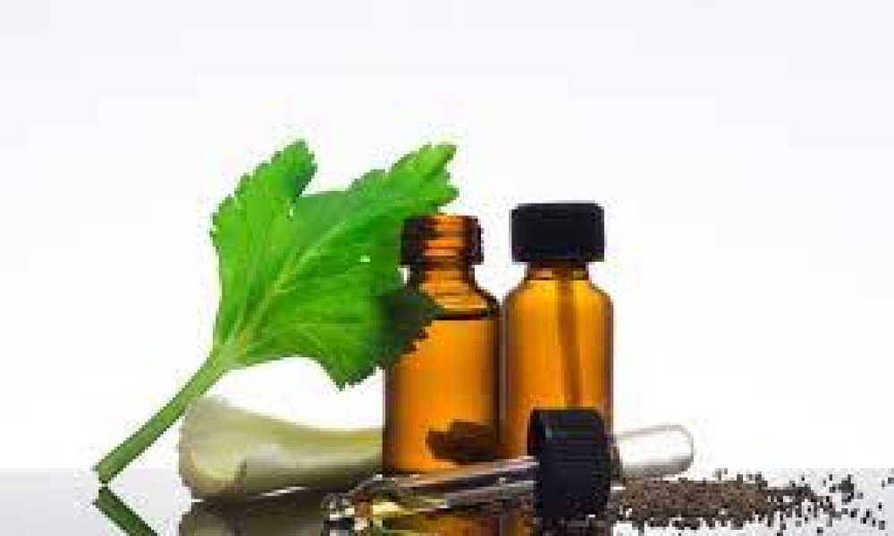 Celery leaf oleoresin