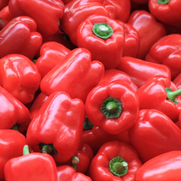 Capsicum Oleoresin