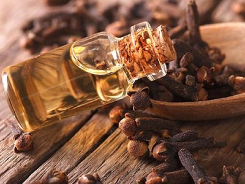 Organic Clove Bud Oil