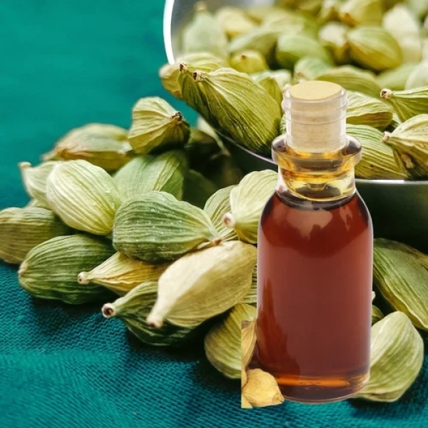 Cardamom Oil Extract