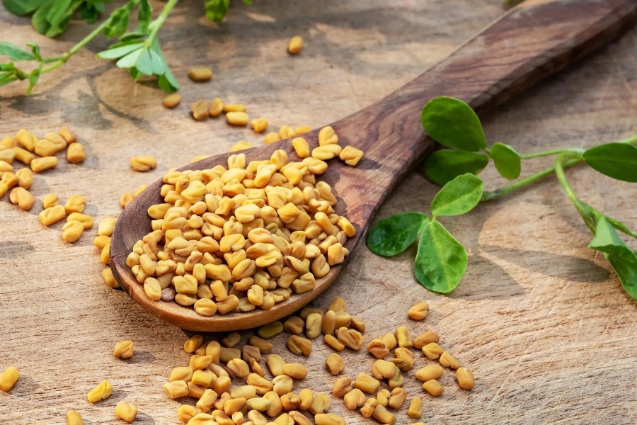 Fenugreek Seed Extract