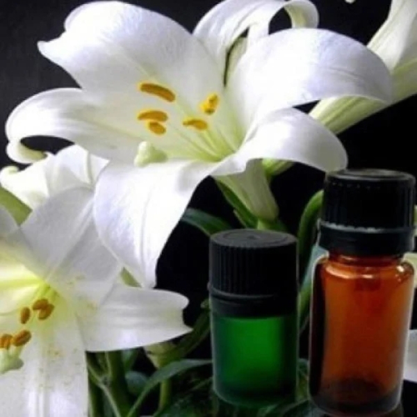 Ginger Lily Oil Extract