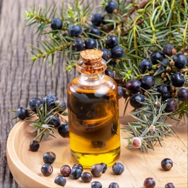 Juniper Berry Extract