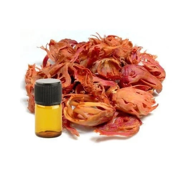 Mace Oil Extract