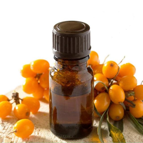 Seabuckthorn Berry Oil Extract