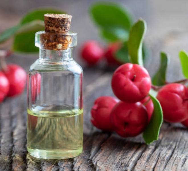 Wintergreen Hydrosol