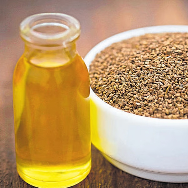 Ajwain Herbal Extract