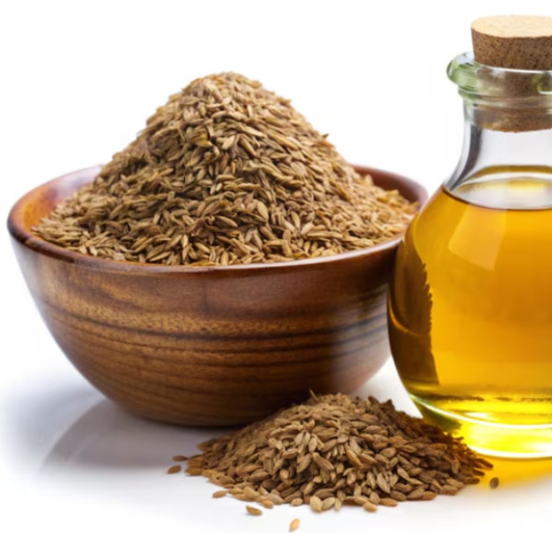 Ajwain Herbal Extract