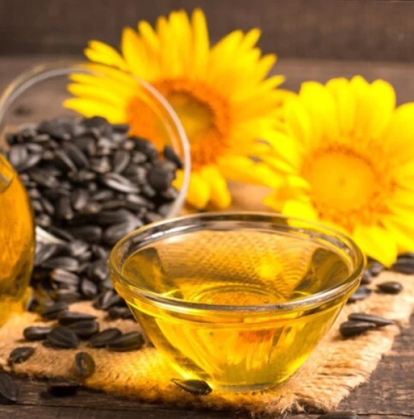 Arnica Herbal Extract