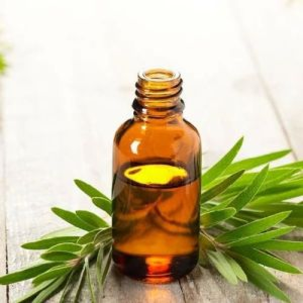 Bhringraj Herbal Extract