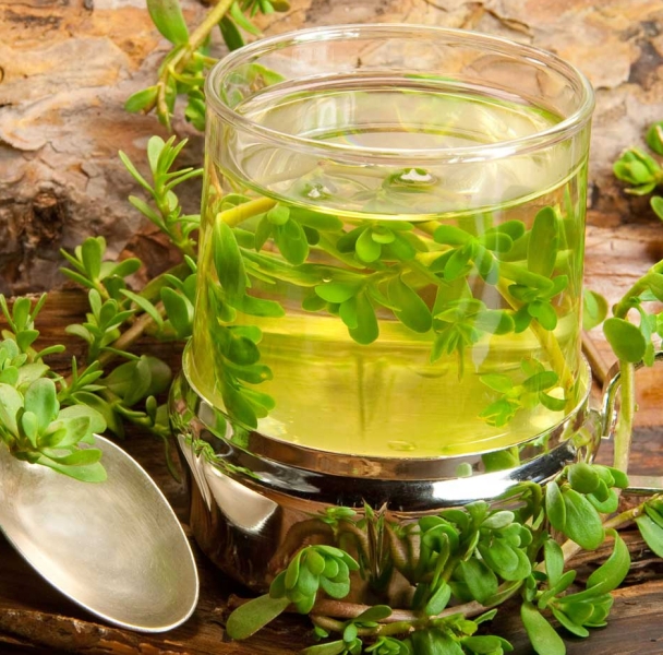 Brahmi Herbal Extract