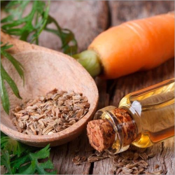 Carrot Herbal Extract