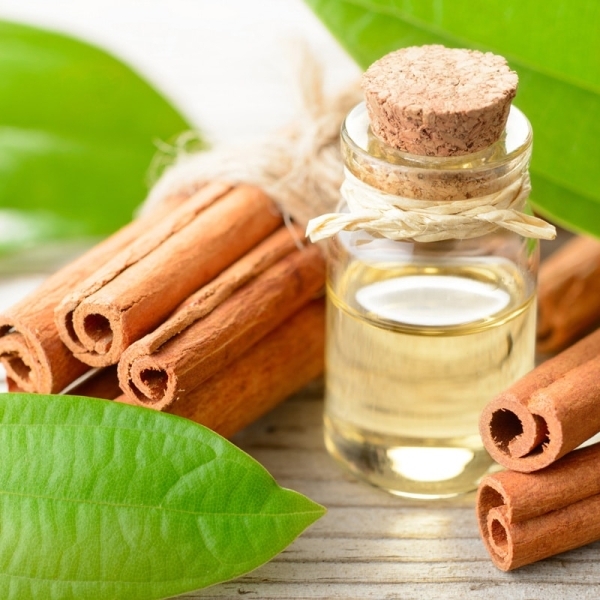 Cinnamon Herbal Extract