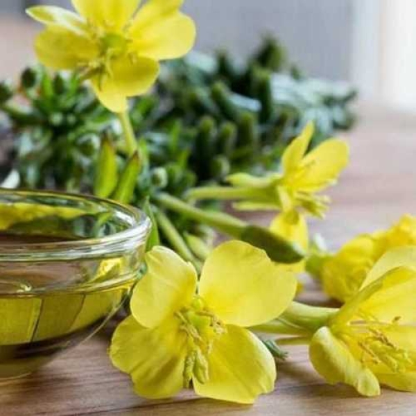Evening Primrose Herbal Extract