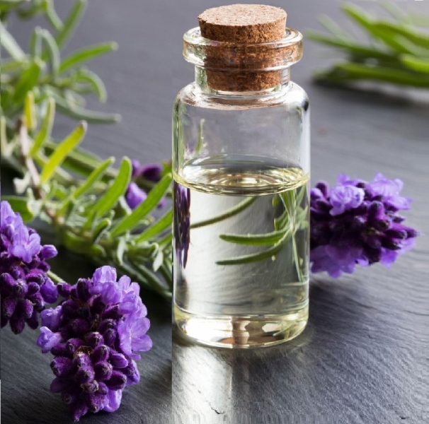Lavender Herbal Extract