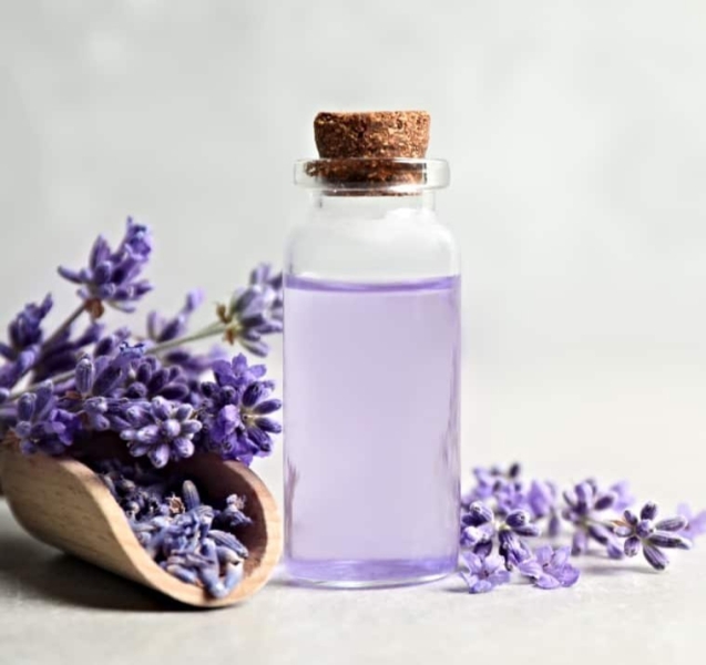 Lavender Herbal Extract