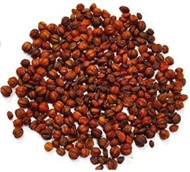 Malkangani Herbal Extract