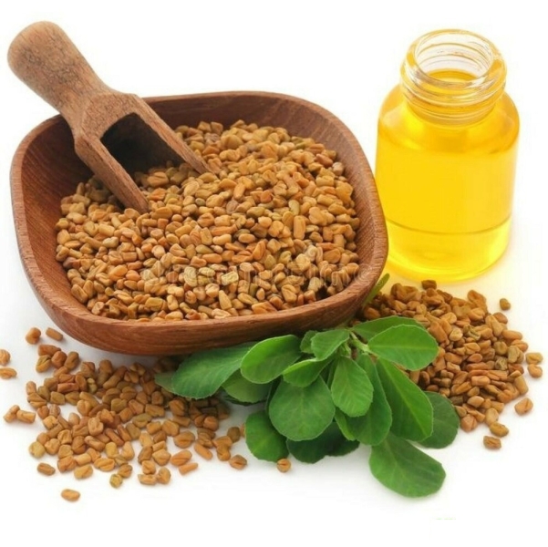 Methi Herbal Extract