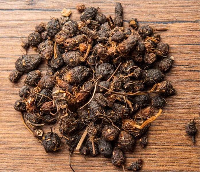 Nagarmotha Herbal Extract