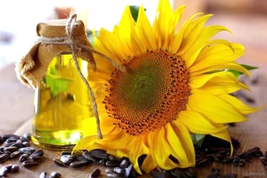 Sunflower Herbal Extract