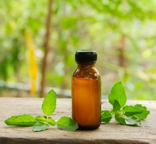 Tulsi Herbal Extract
