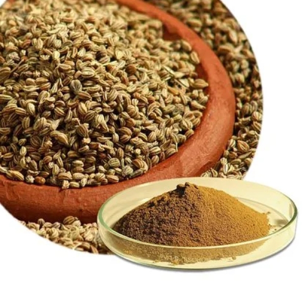Ajwain Dry Extract