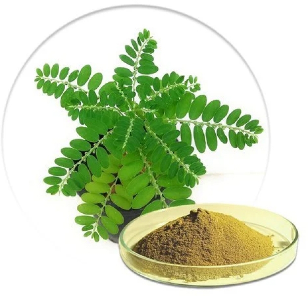 Bhumi Amla Dry Extract