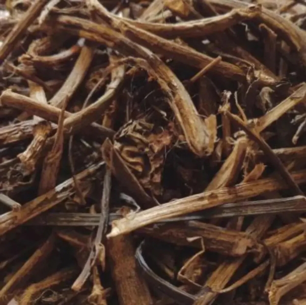 Gandhprasarni Dry Extract