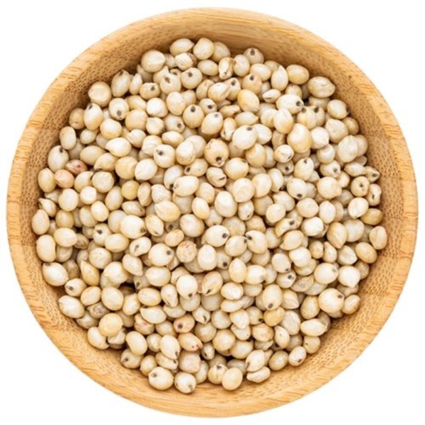Jwar Dry Extract
