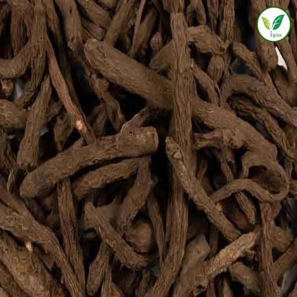 Kali Musli Dry Extract