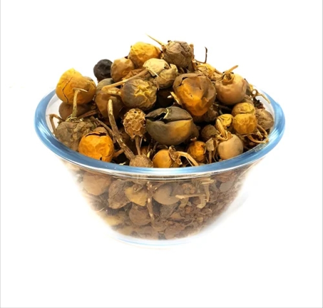 Kantakari Dry Extract