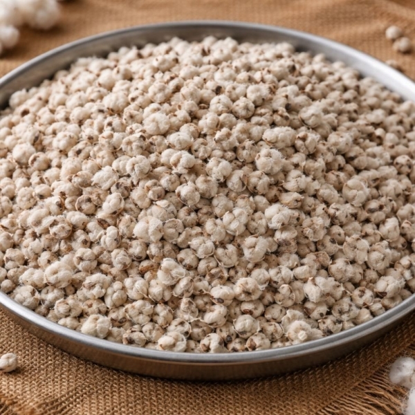 Kapas Mool/Seed Dry Extract
