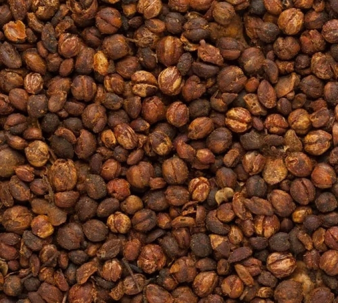 Malkangni Dry Extract