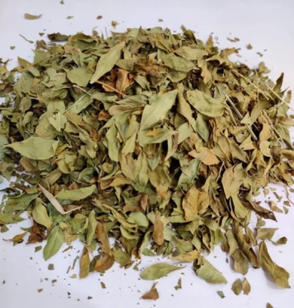 Mehandi Leaves Dry Extract