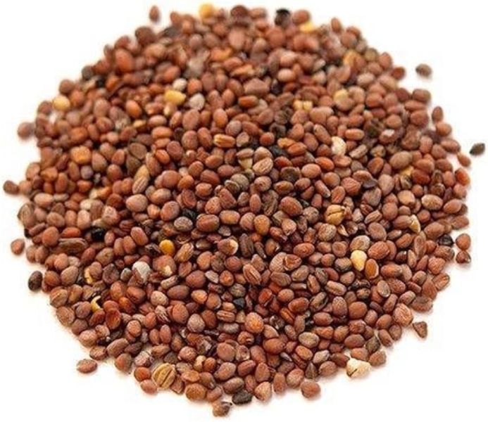 Mooli Beej Dry Extract