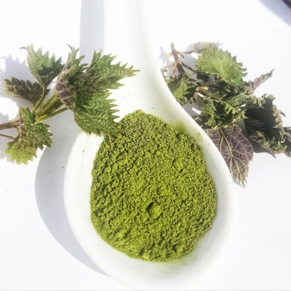 Nettle Leaves Dry Extract